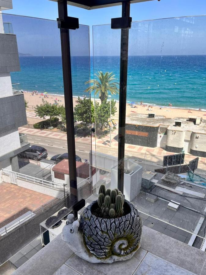 Apartamento Vacacional & Holiday بلانيس المظهر الخارجي الصورة